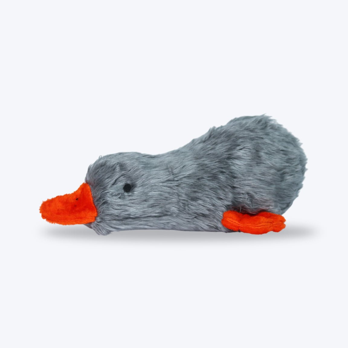 Lazy Duck