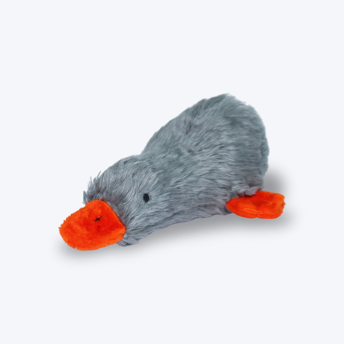 Lazy Duck