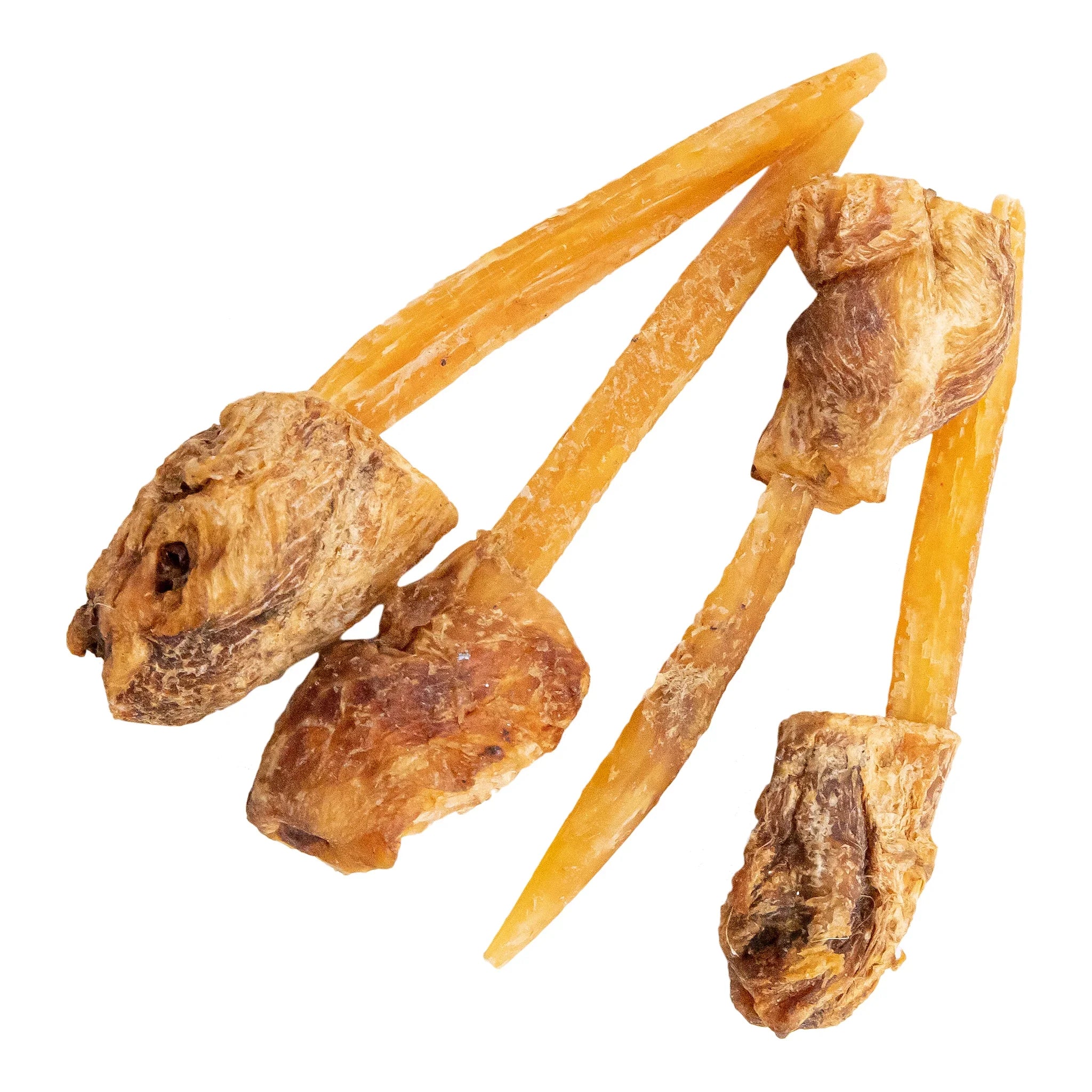 Lollypop Delights – Buffalo Tendon and Tripe Dog Treats