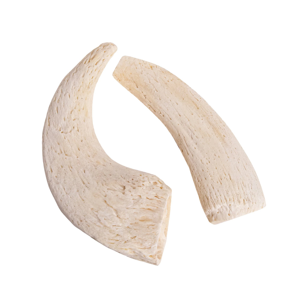 Crunchy Horn Core – All-Natural Buffalo Horn Dog Chew