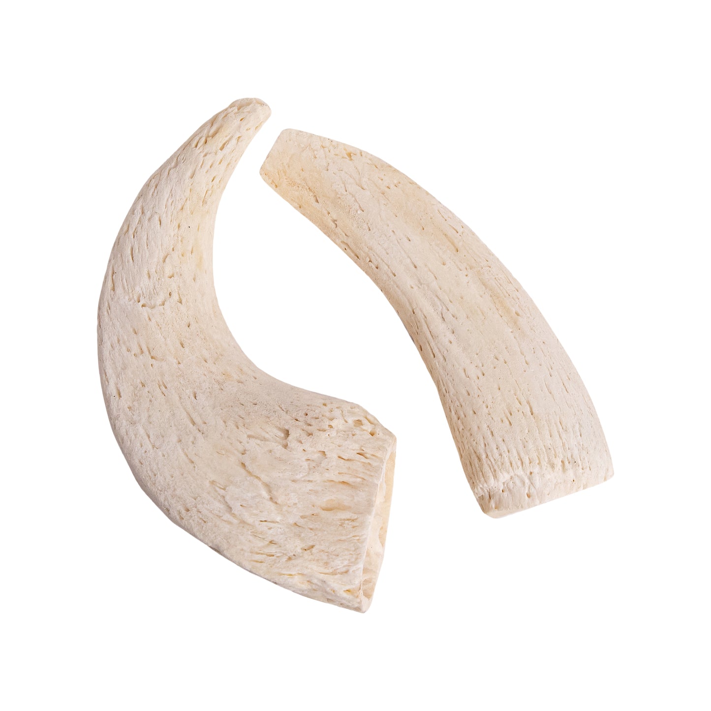 Crunchy Horn Core
