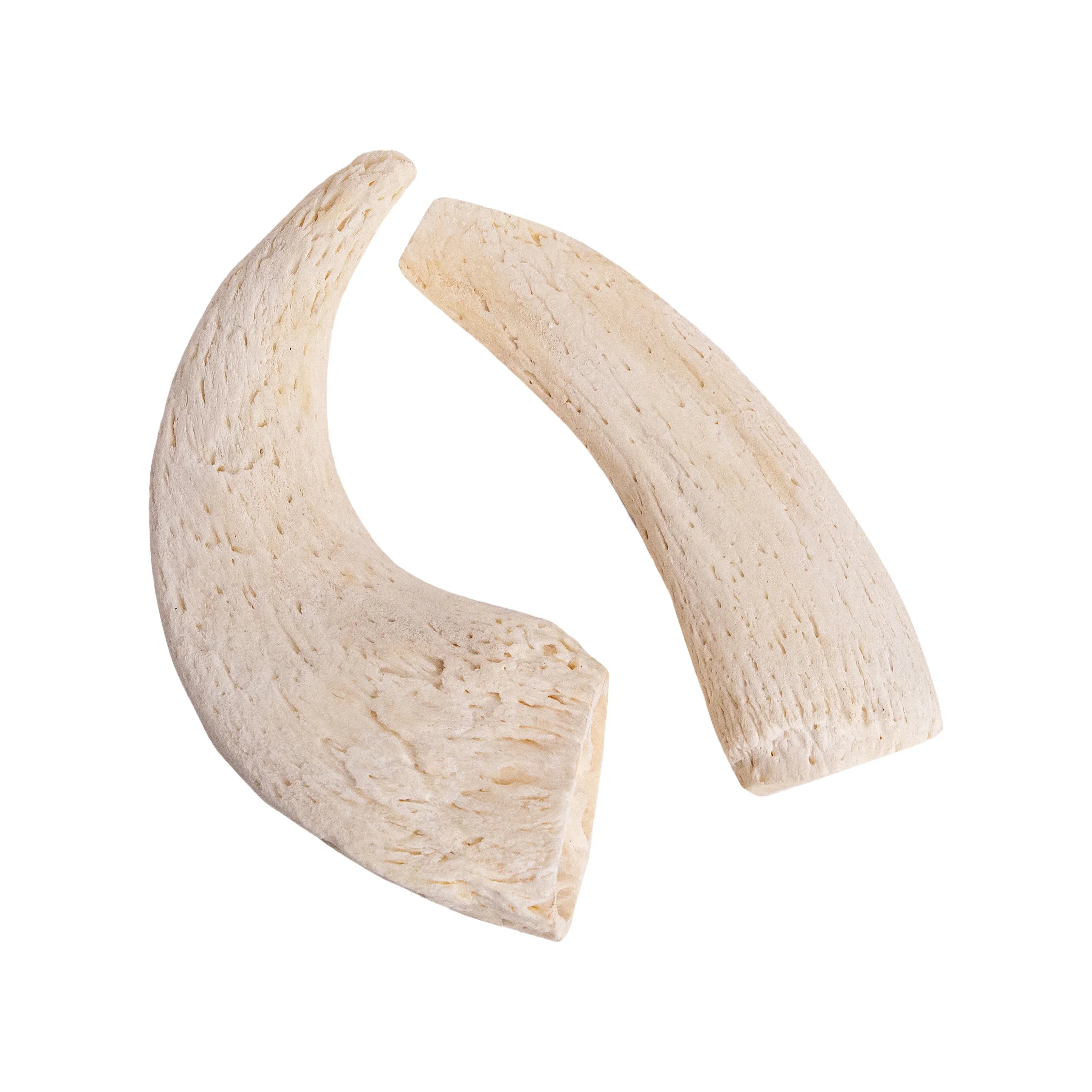 Crunchy Horn Core – All-Natural Buffalo Horn Dog Chew