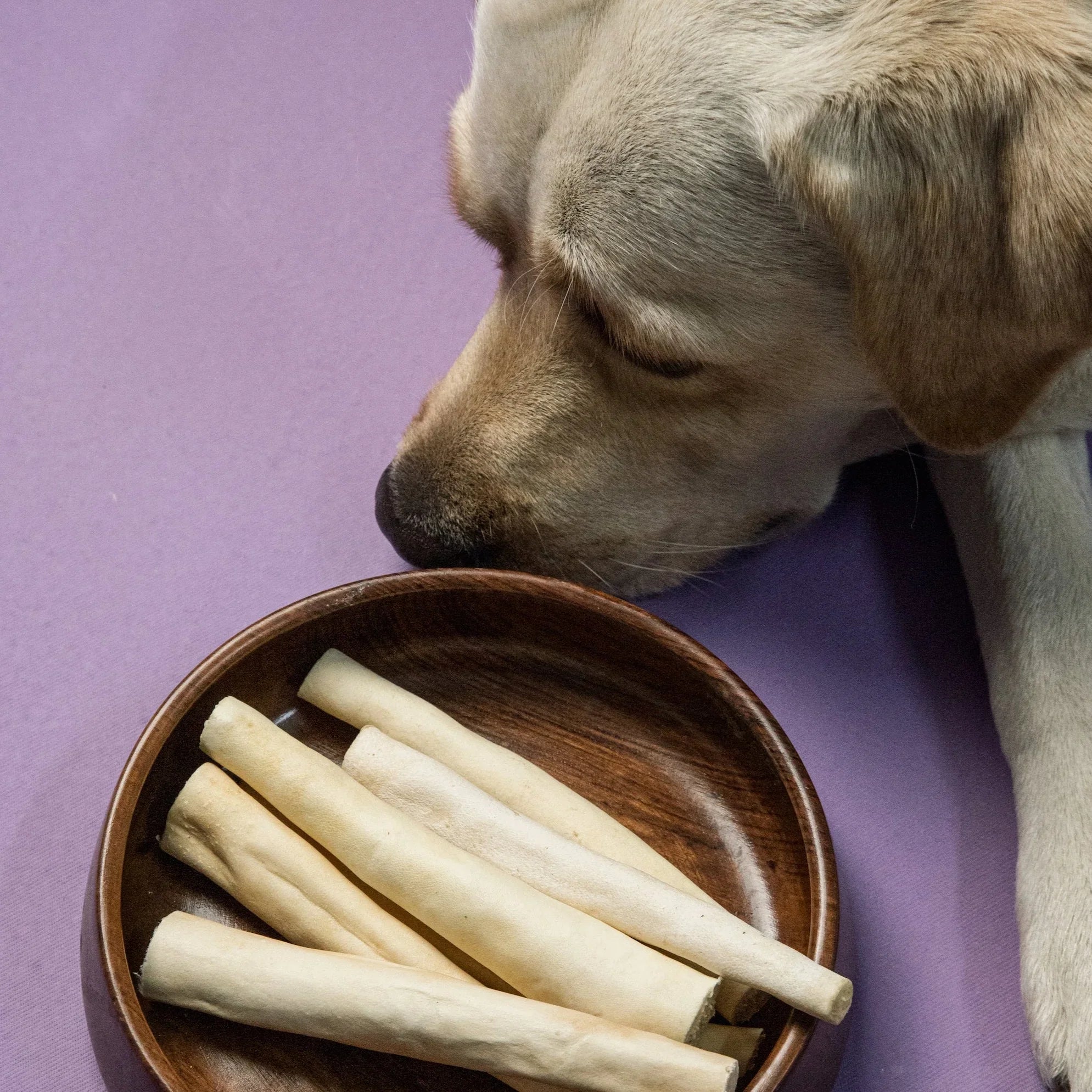 Twisty Tail Munchies in Bowl – High-Protein Dog Chews