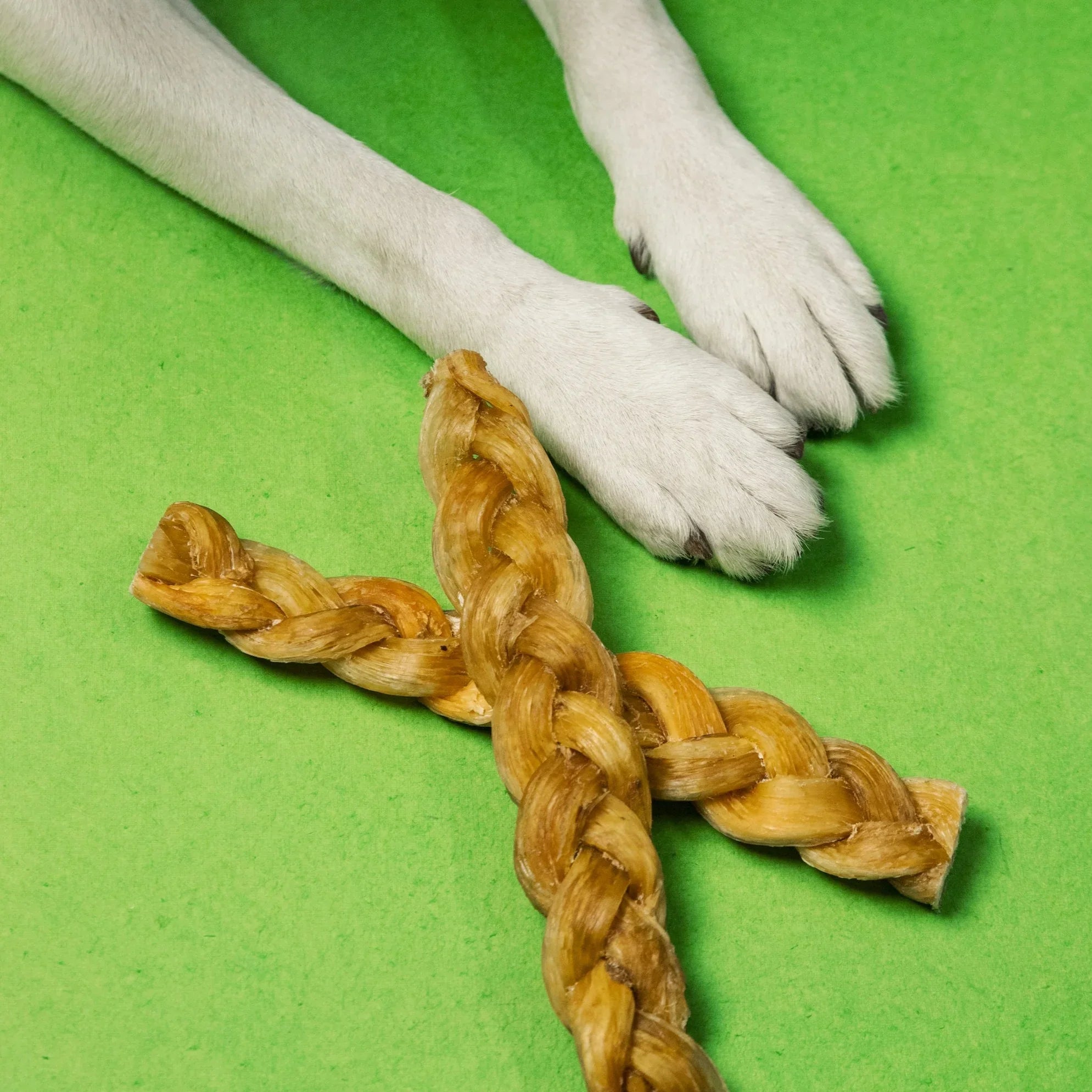 Close-Up of Twisted Tendies – Buffalo Tendon Chew for Dogs