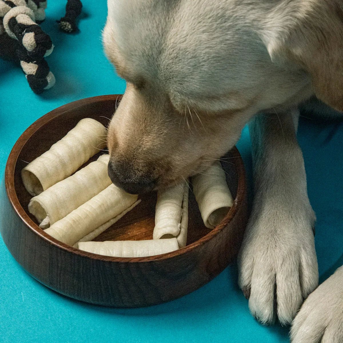 Rollie Chompies – Natural Buffalo Dog Chews in Bowl