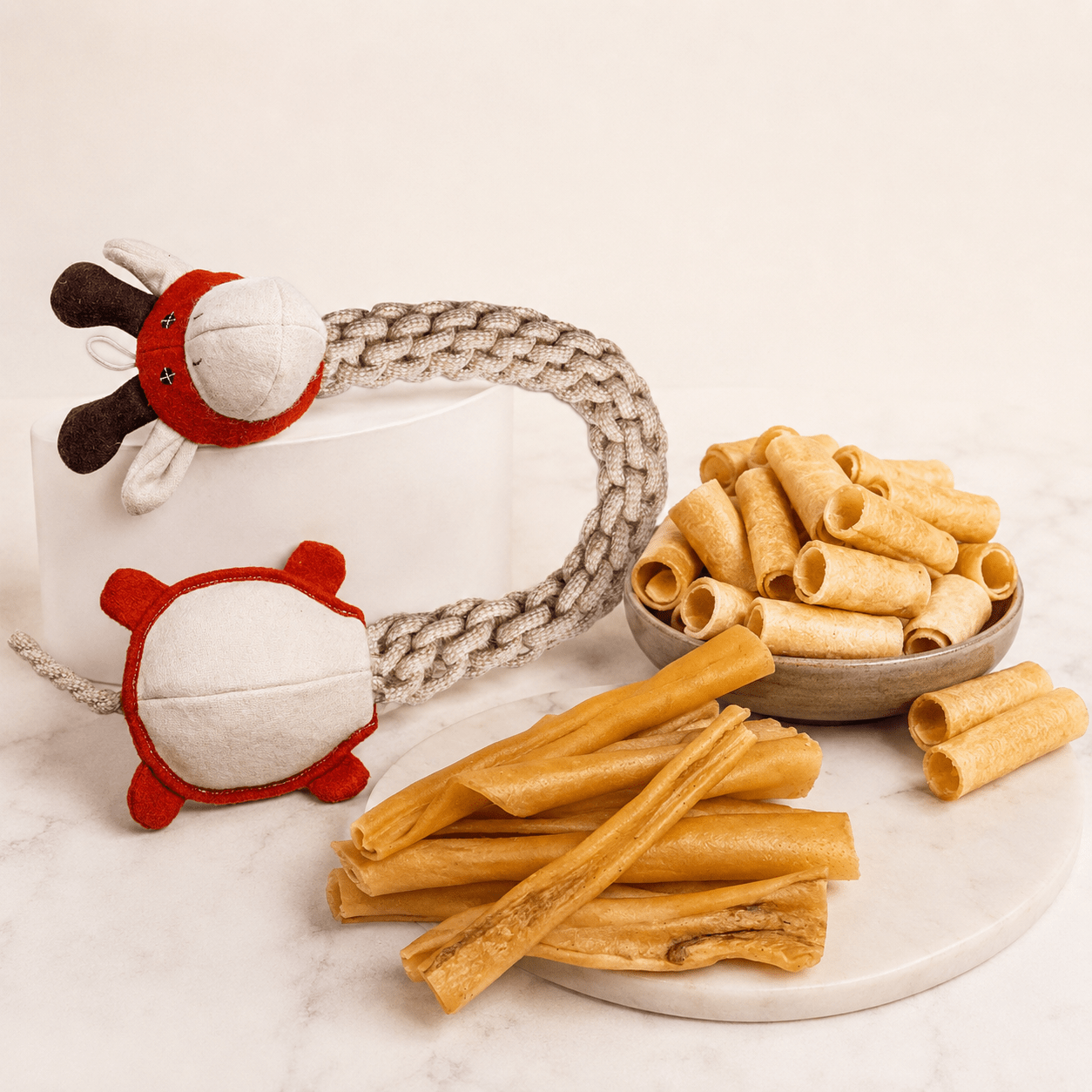 Interactive Adventure Box