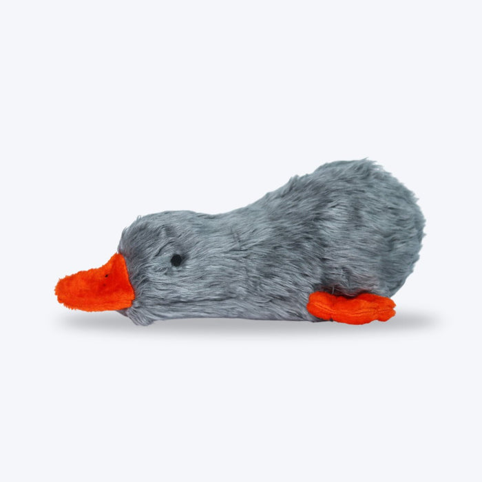 Lazy Duck