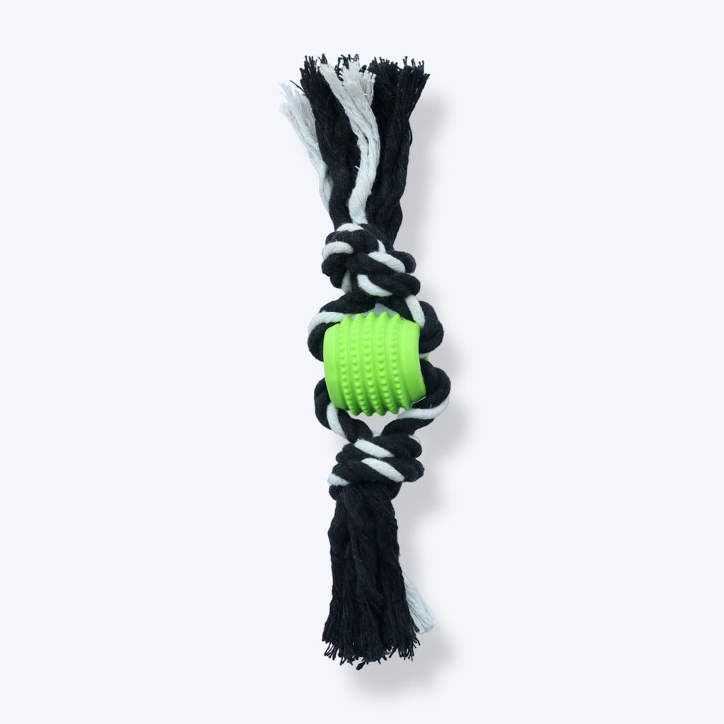 Chewy Teether Flosser for Dog
