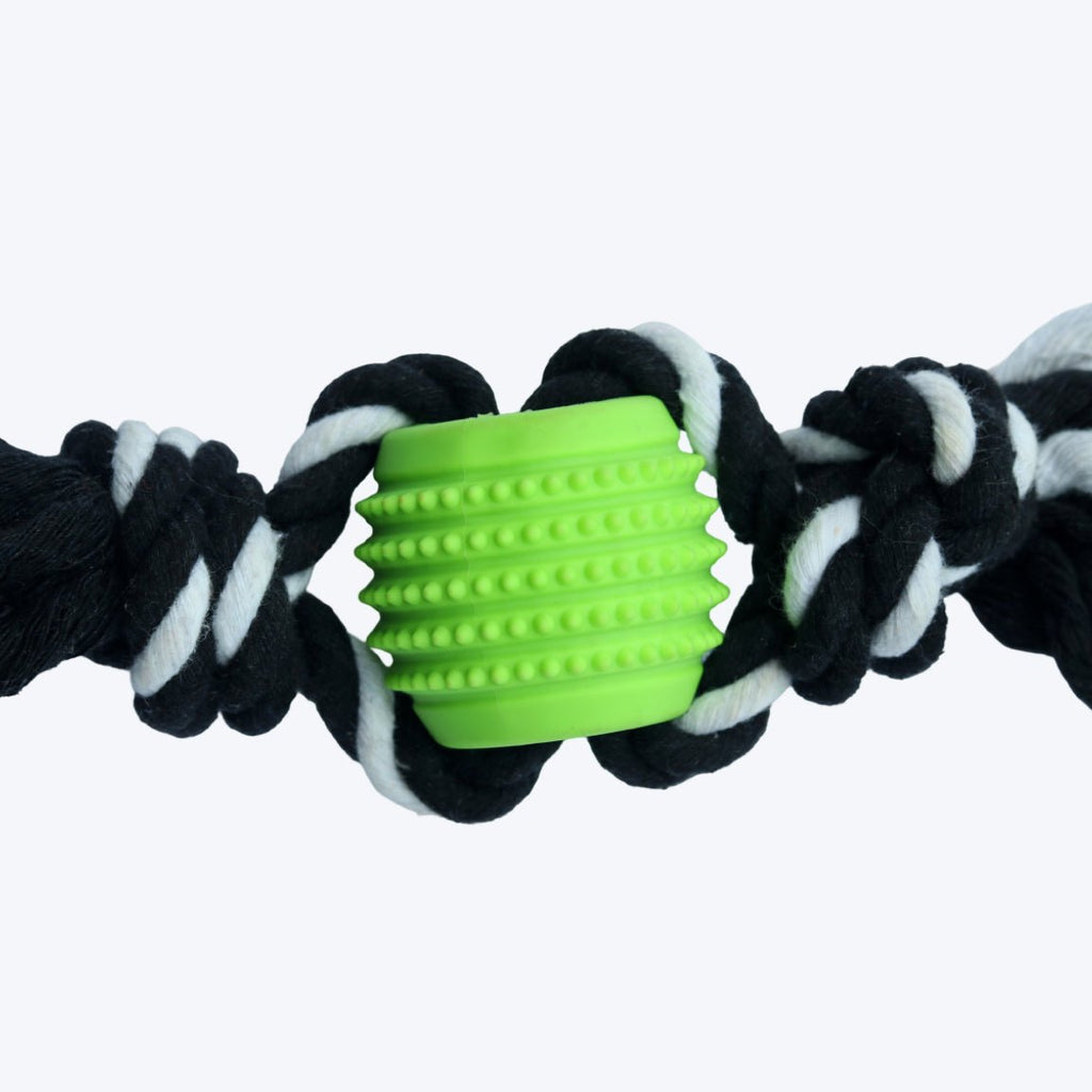 Chewy Teether Flosser for Dog