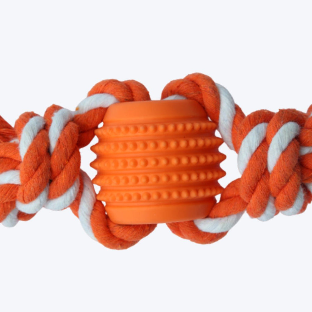 Chewy Teether Flosser for Dog