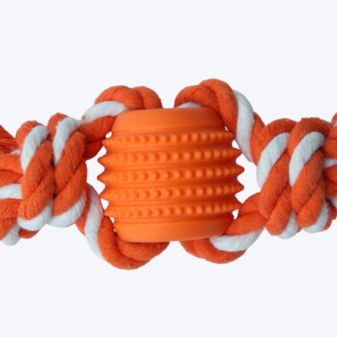 Chewy Teether Flosser for Dog