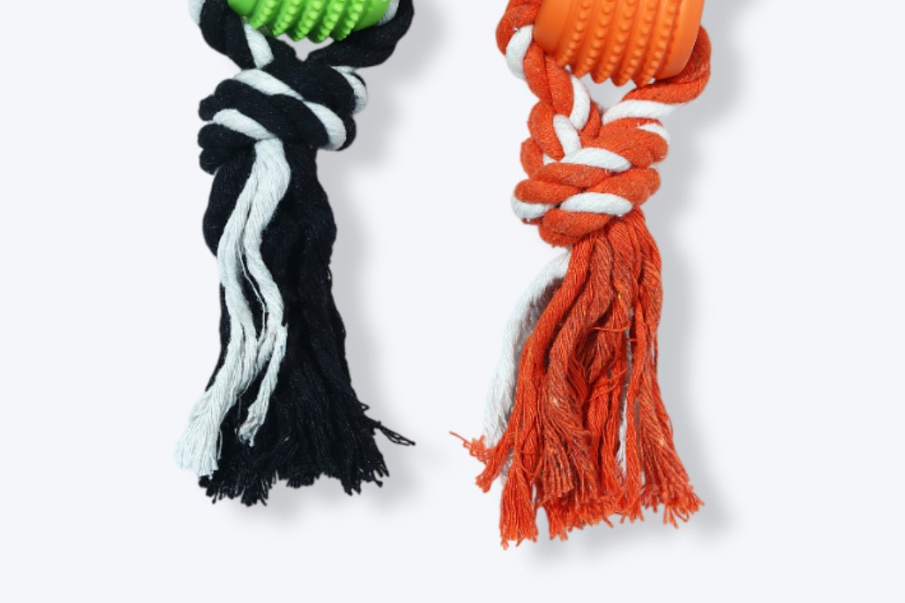 Chewy Teether Flosser for Dog