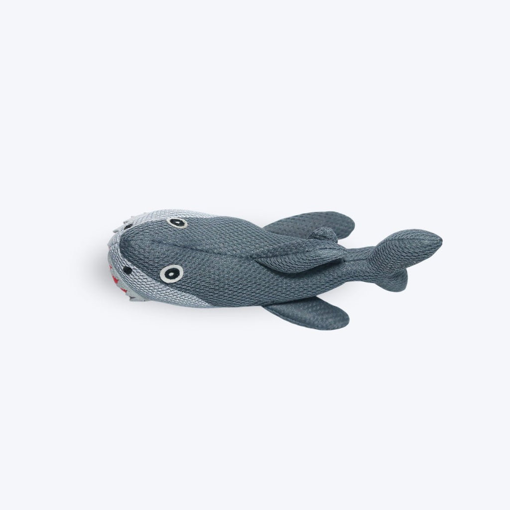 Mesh Shark