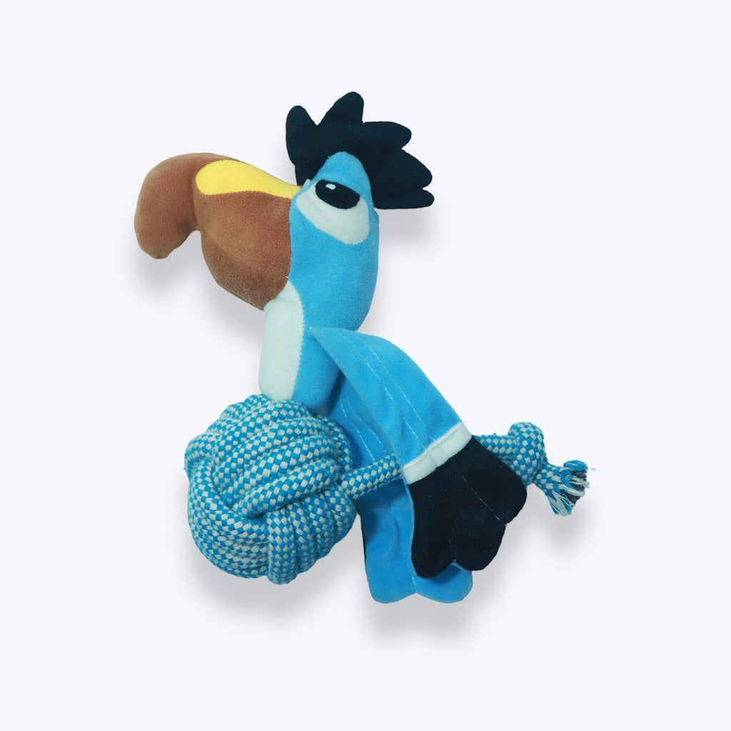 Toucan