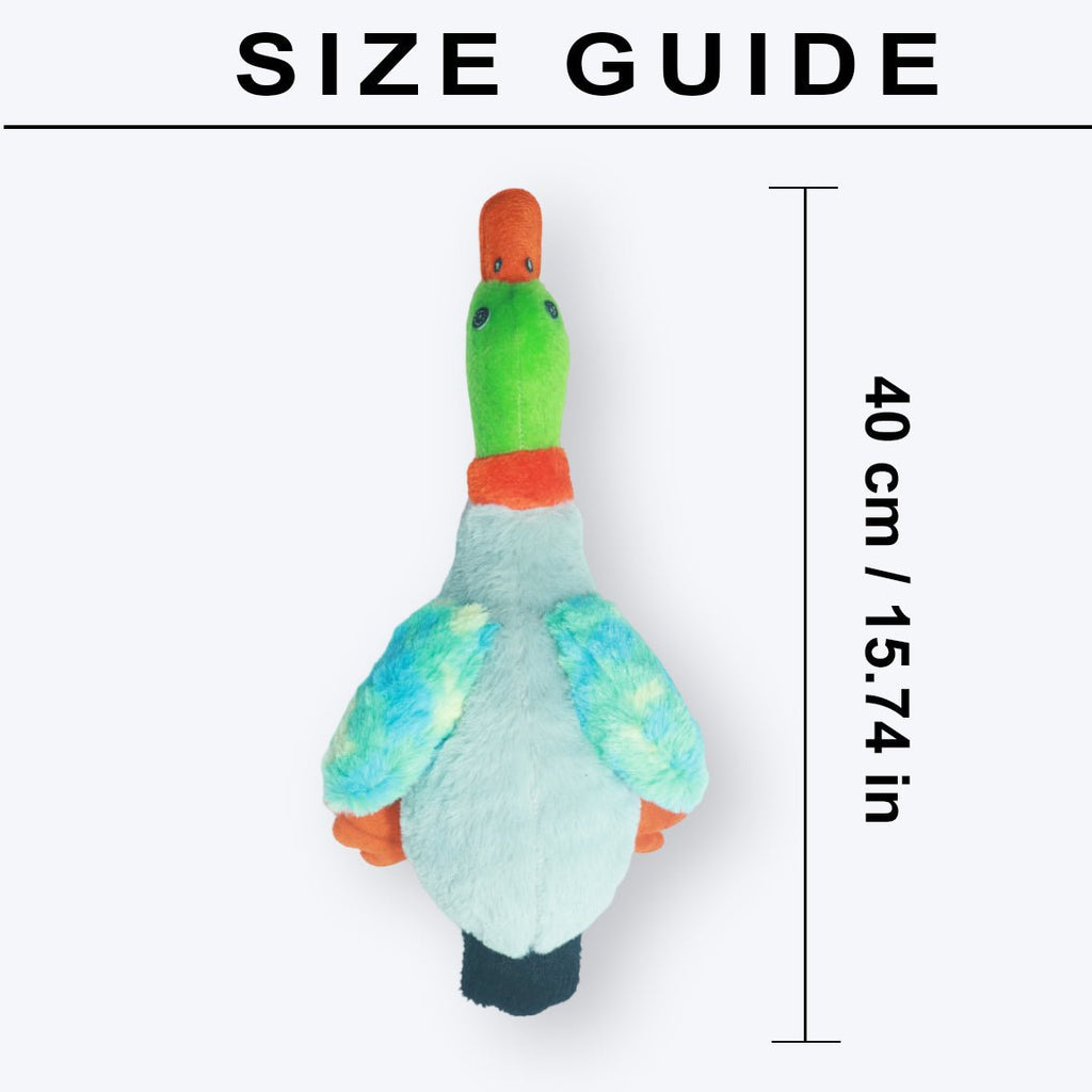 Furry Birdie