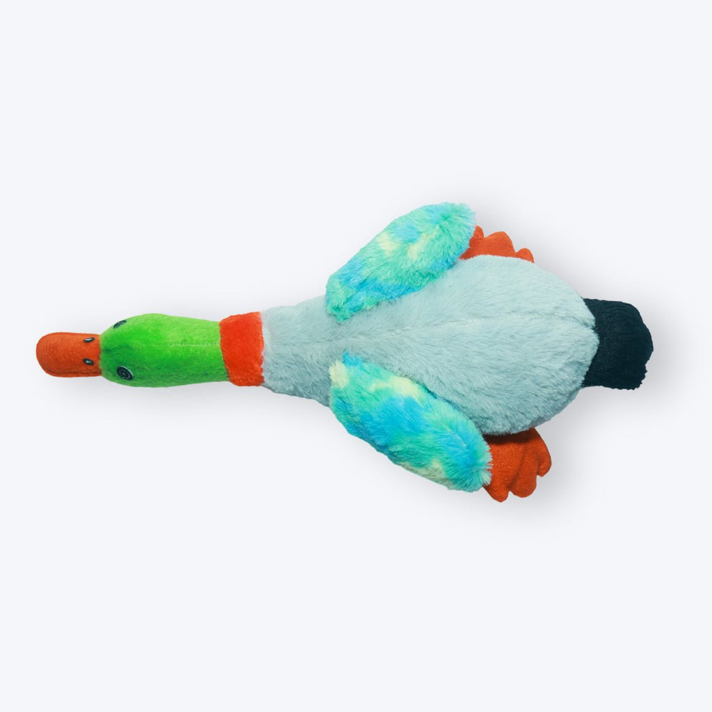 Furry Birdie