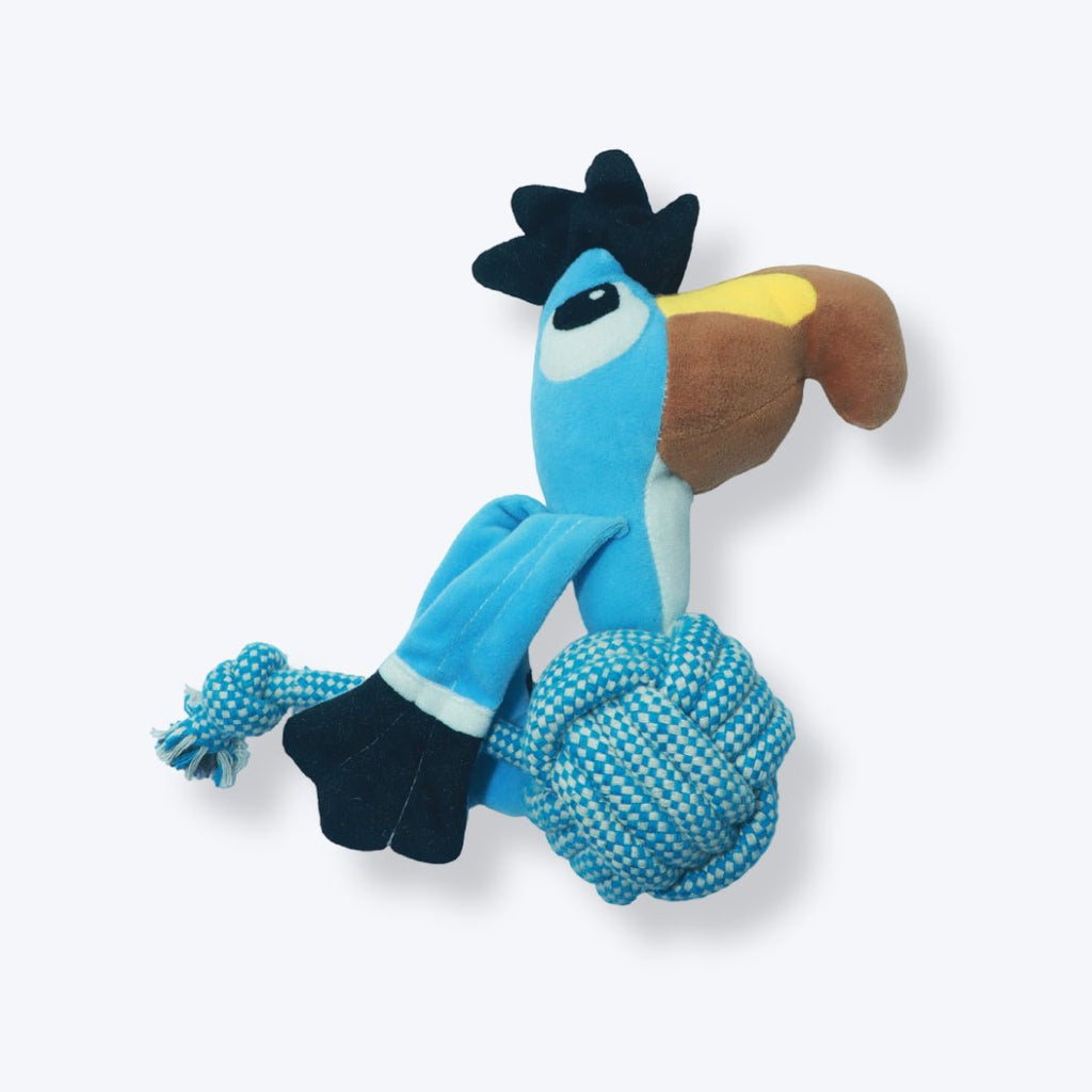 Toucan
