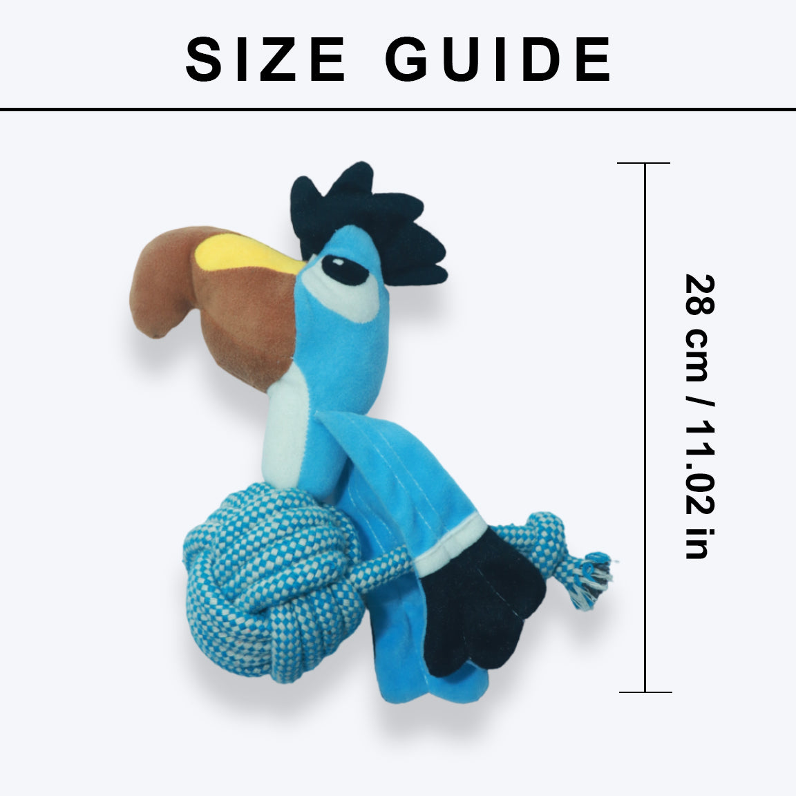 Toucan