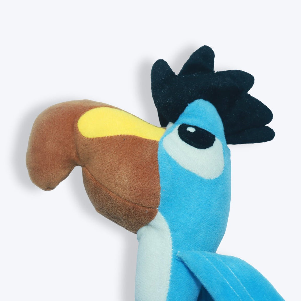 Toucan