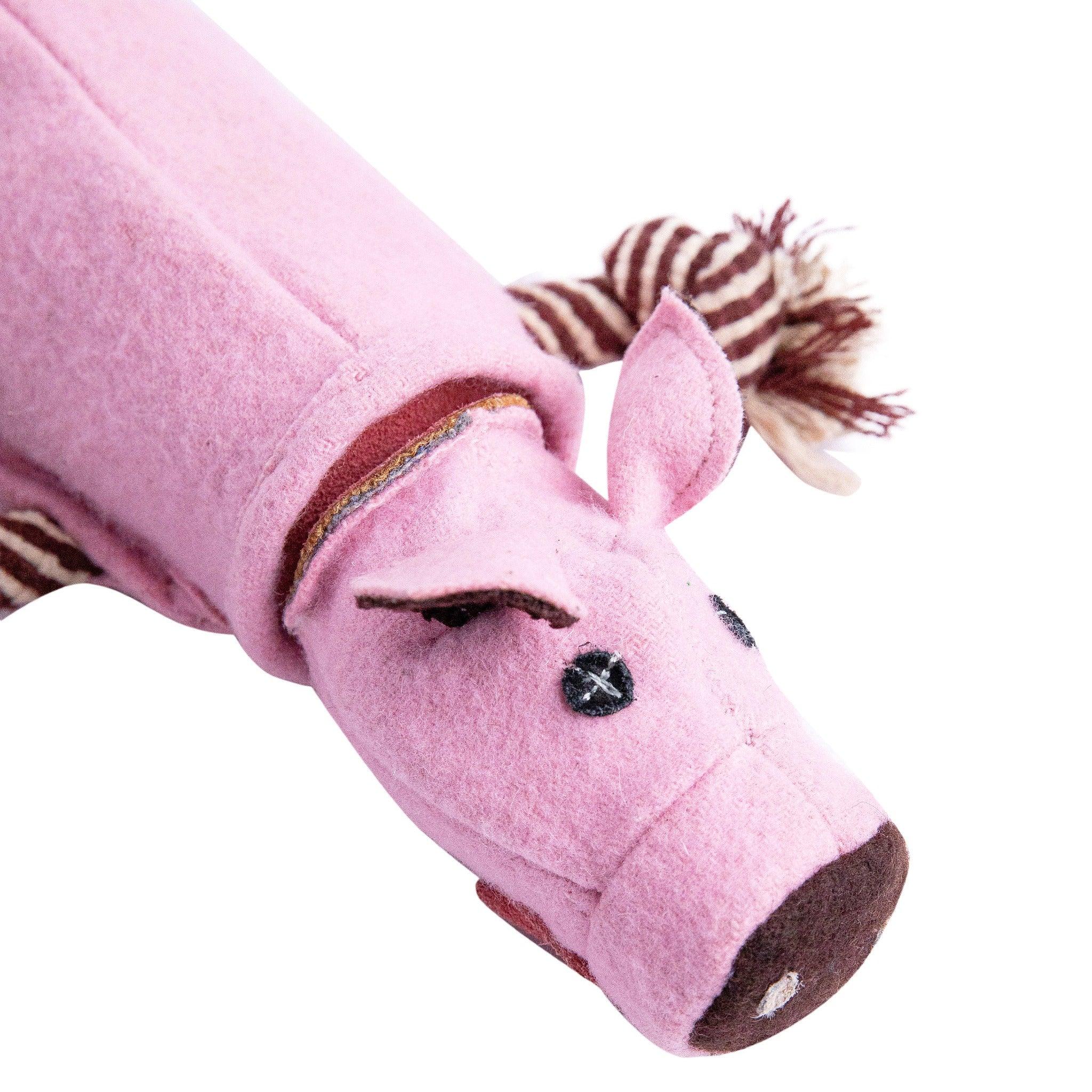 Mr. Piggles – Canvas and Rope Dog Toy for Safe, Natural Play