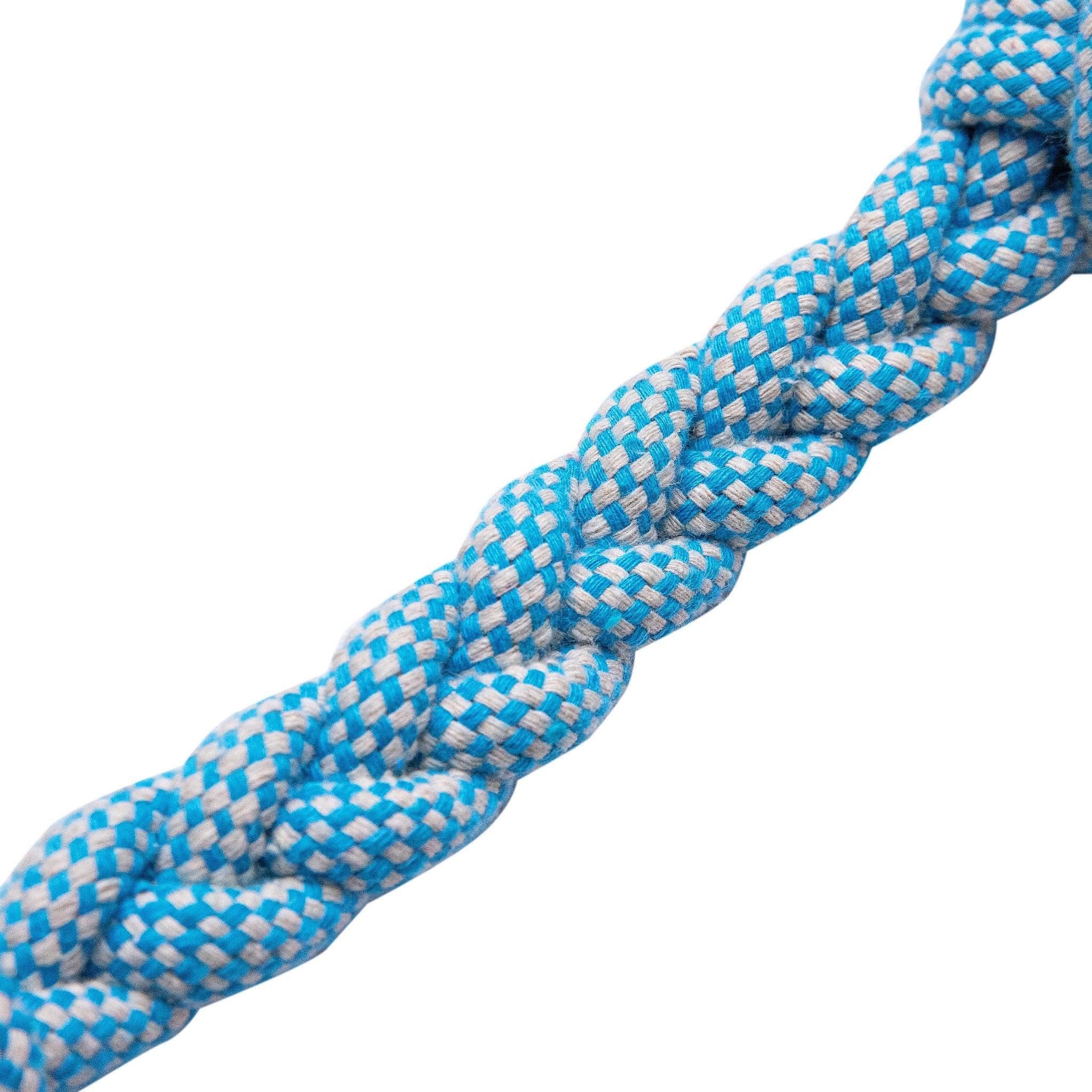 Dog Playing with Double Knotted Rope – Interactive and Safe Dog Toy