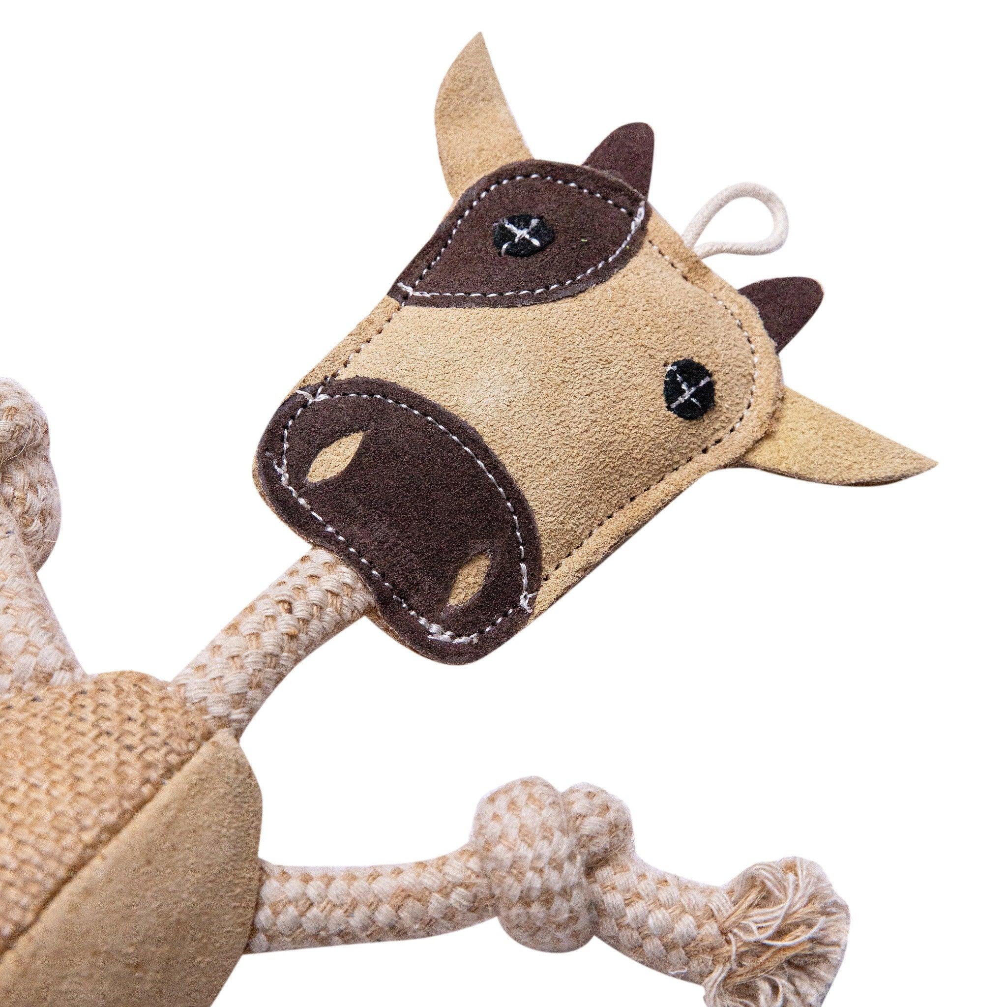Close-Up of Miss Coco Rope Toy – Eco-Friendly Natural Dog Toy