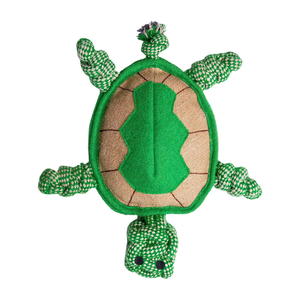 Close-Up of Tony the Turtle – Durable Eco-Friendly Dog Toy