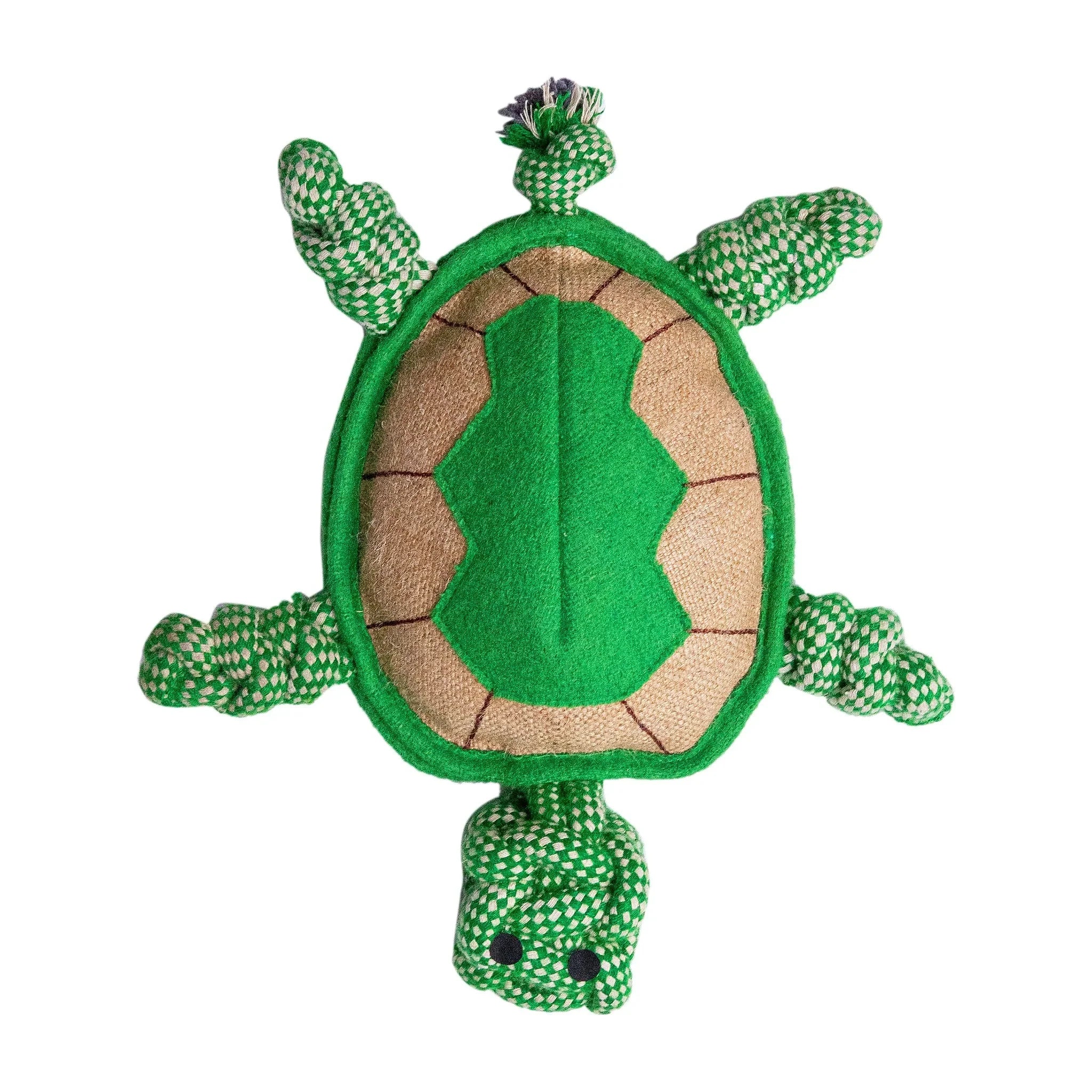 Close-Up of Tony the Turtle – Durable Eco-Friendly Dog Toy