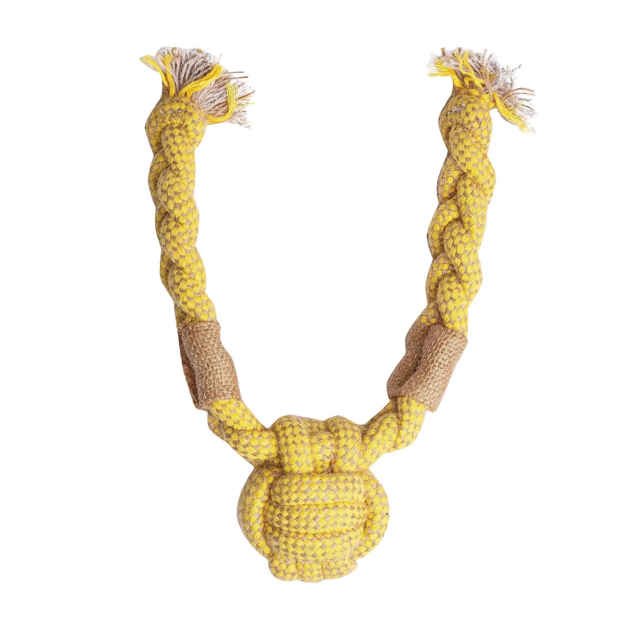 Dog Playing with Orbit Ball Rope Toy – Safe and Fun Chew Toy