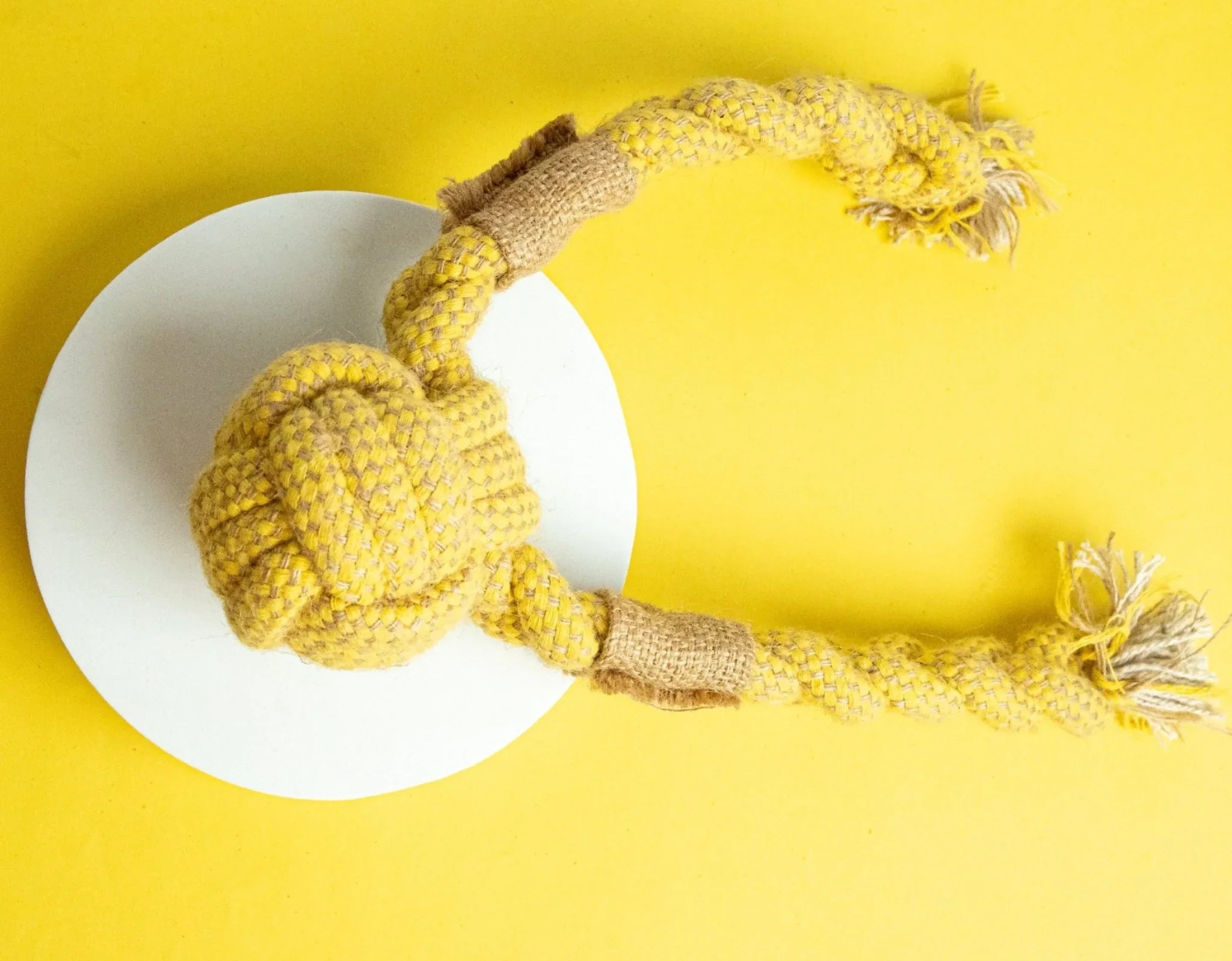 Dog Playing with Orbit Ball Rope Toy – Safe and Fun Chew Toy