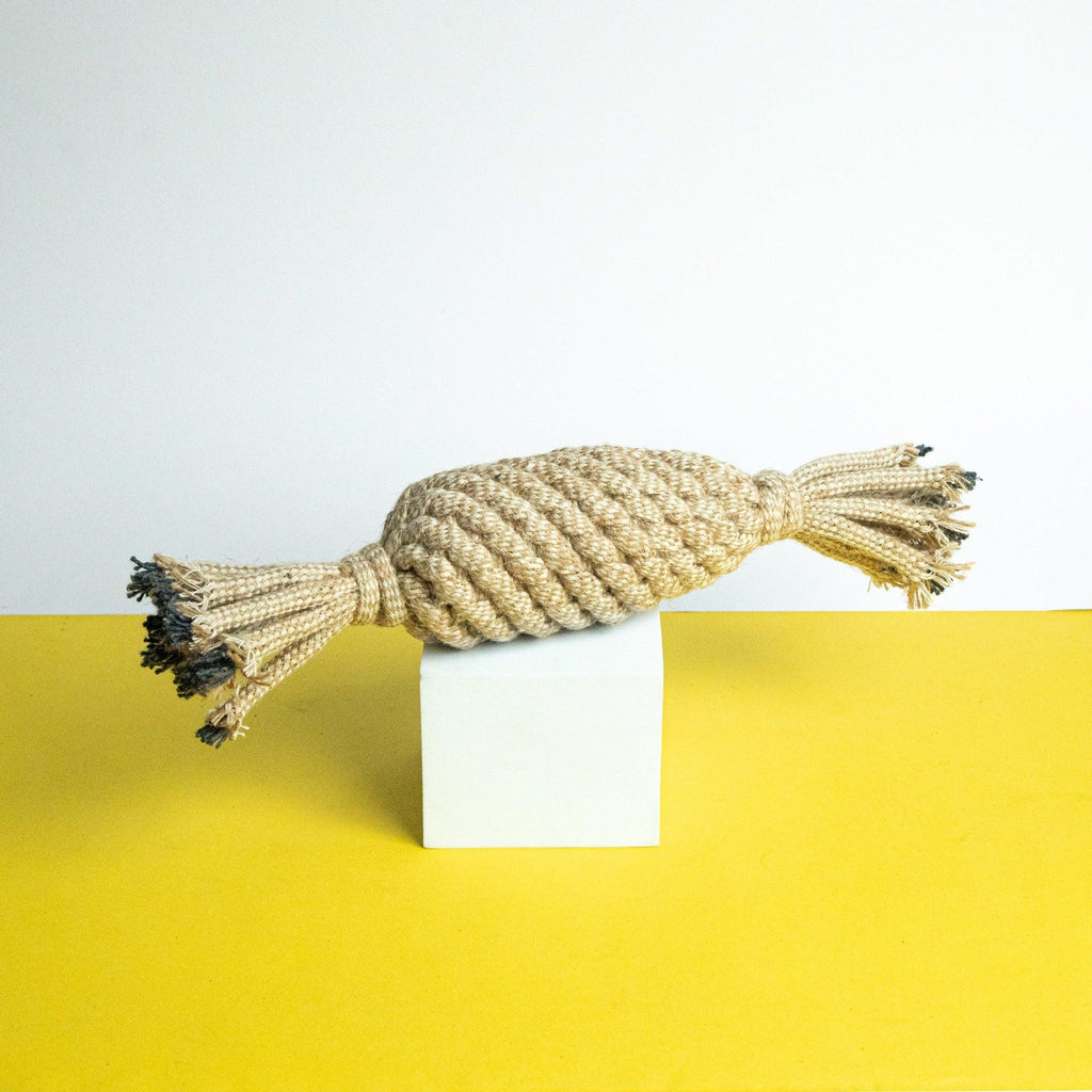 Close-Up of Pineapple Rope Toy – Durable Chew Toy for Dogs