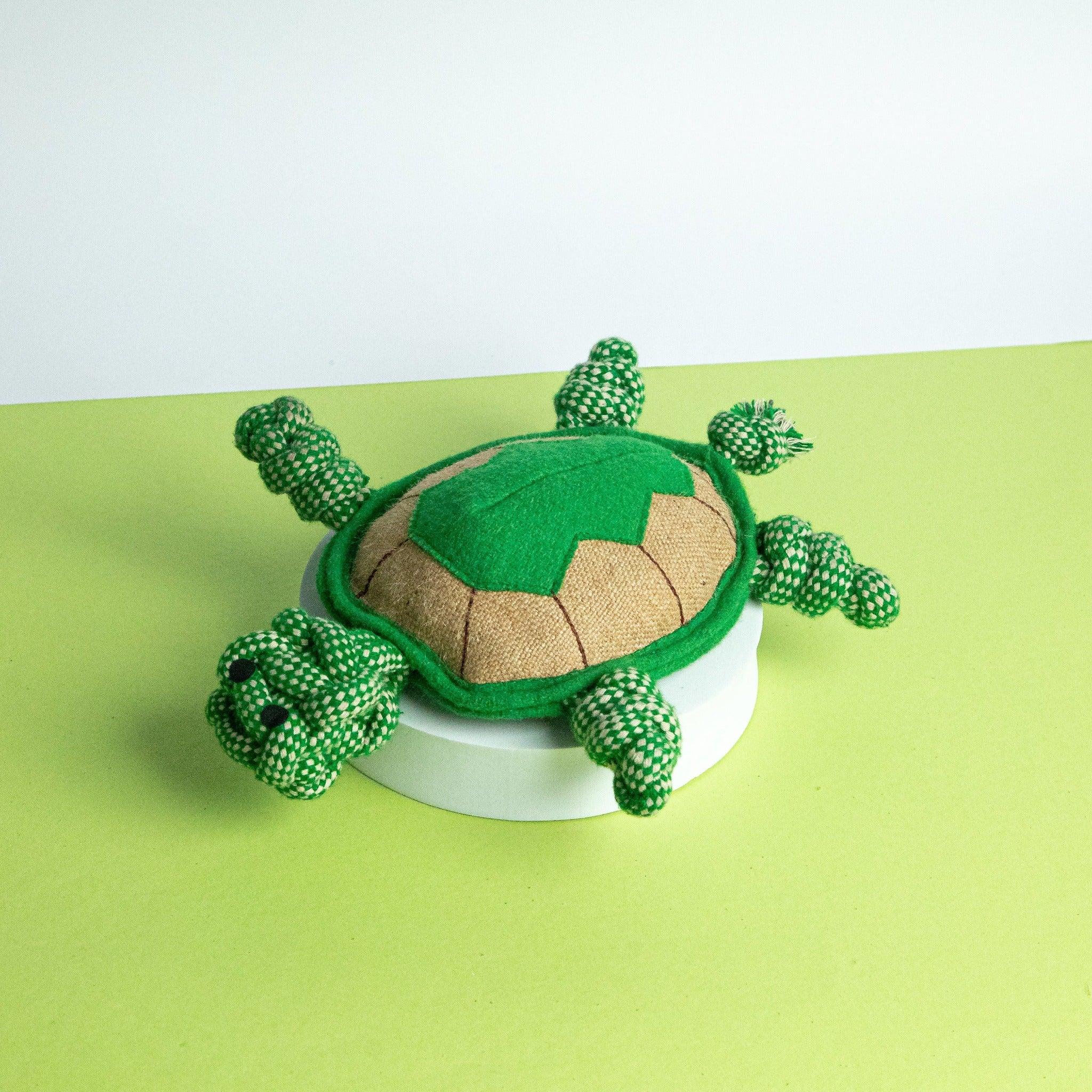 Close-Up of Tony the Turtle – Durable Eco-Friendly Dog Toy