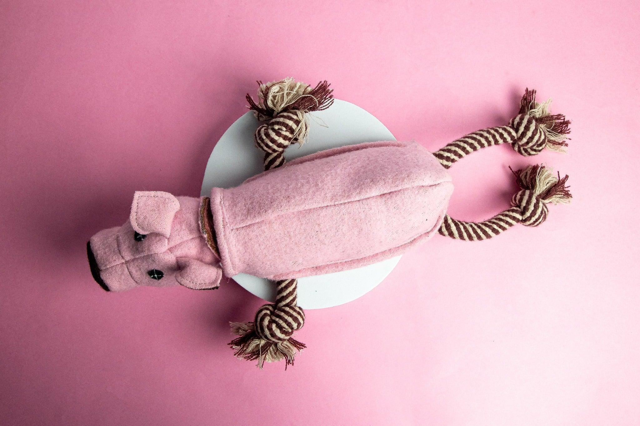 Close-up of Mr. Piggles – Sustainable & Biodegradable Dog Toy