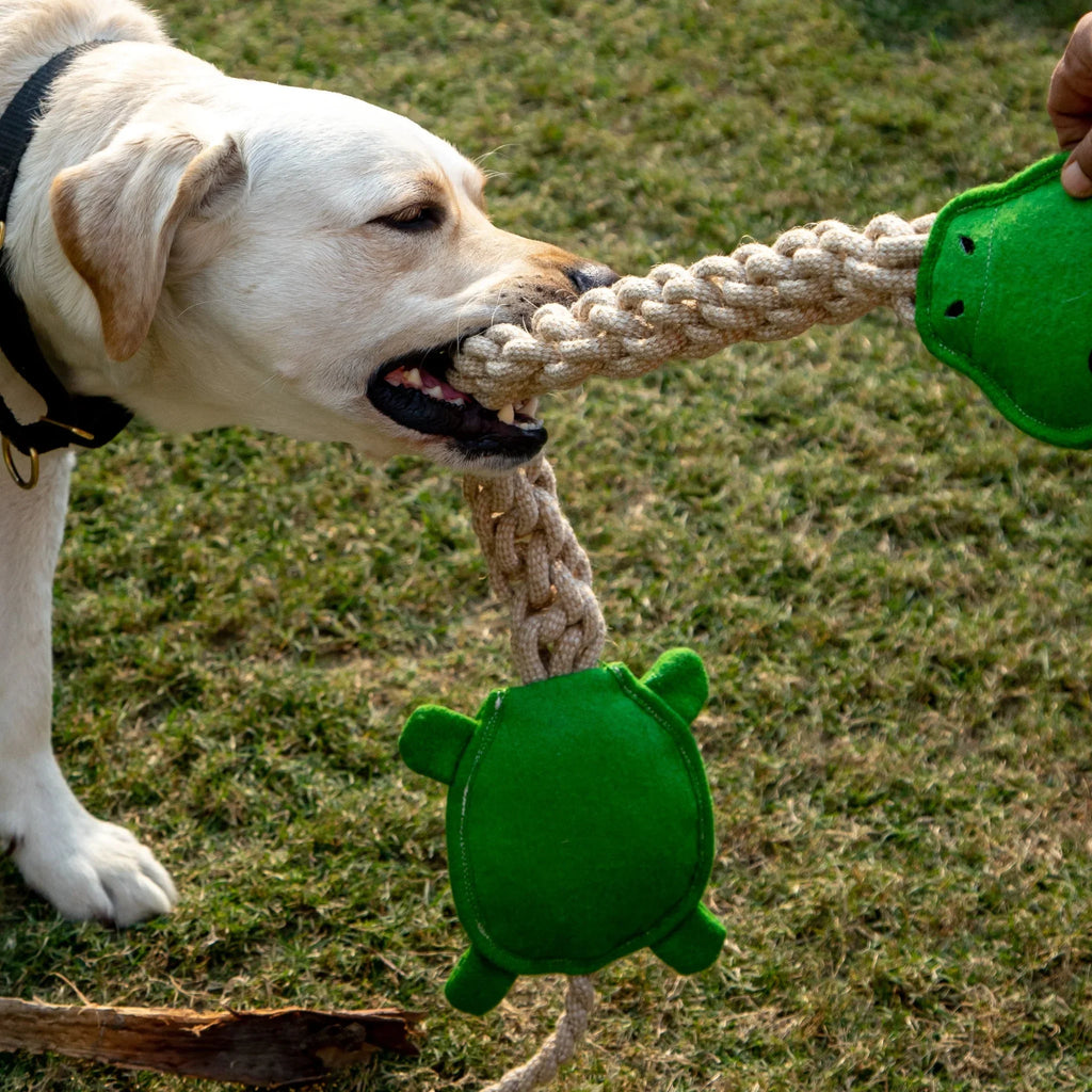 Turtle Long Ropey – Durable Braided Natural Rope Dog Toy