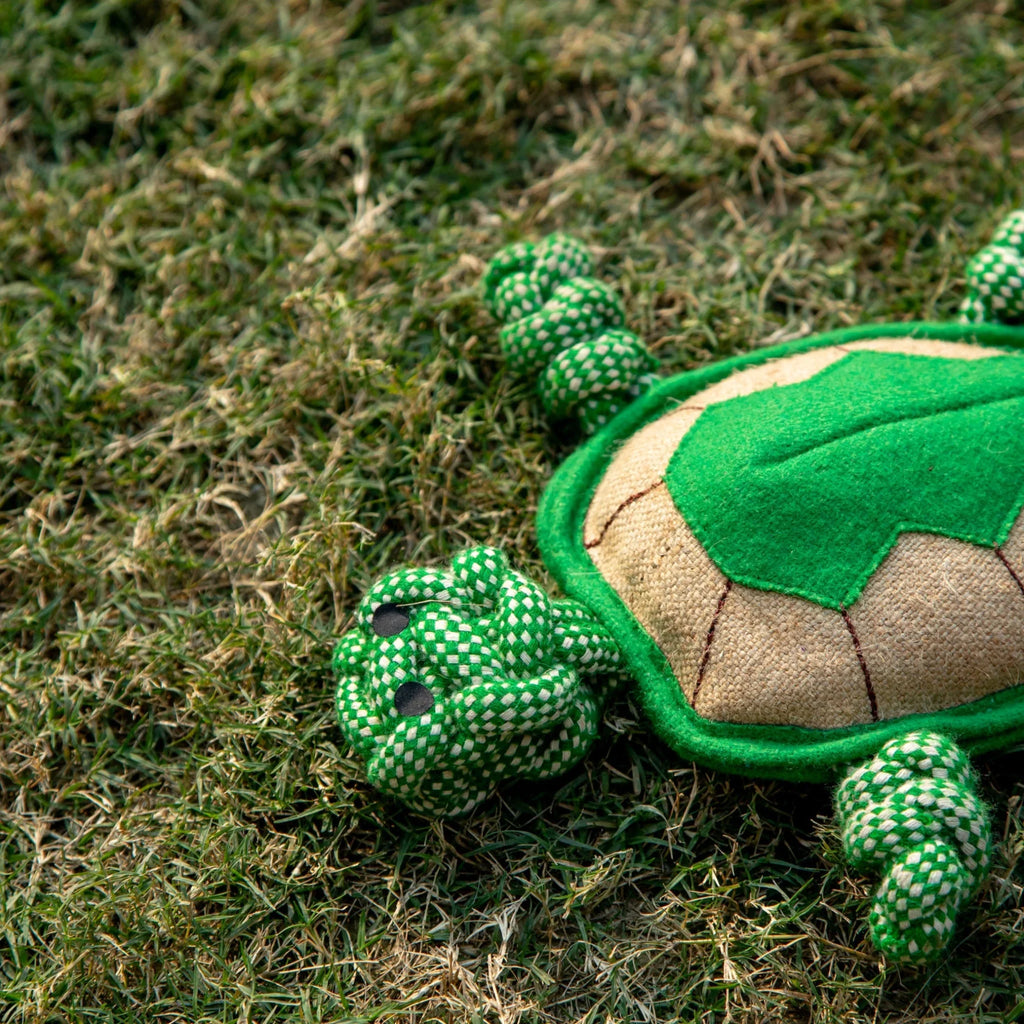 Tony the Turtle – Multi-Textured Dog Toy with Jute and Wool
