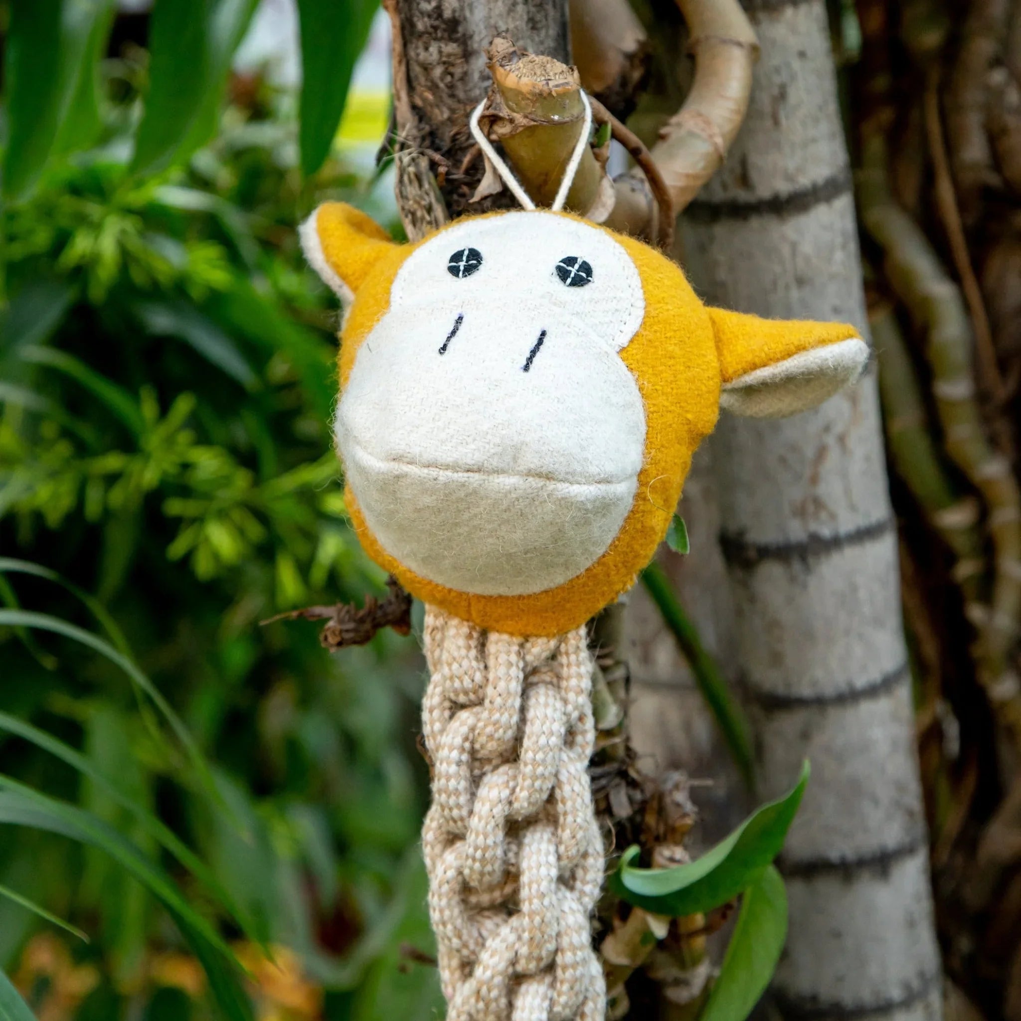 Close-Up of Monkey Long Ropey – Interactive and Durable Dog Toy