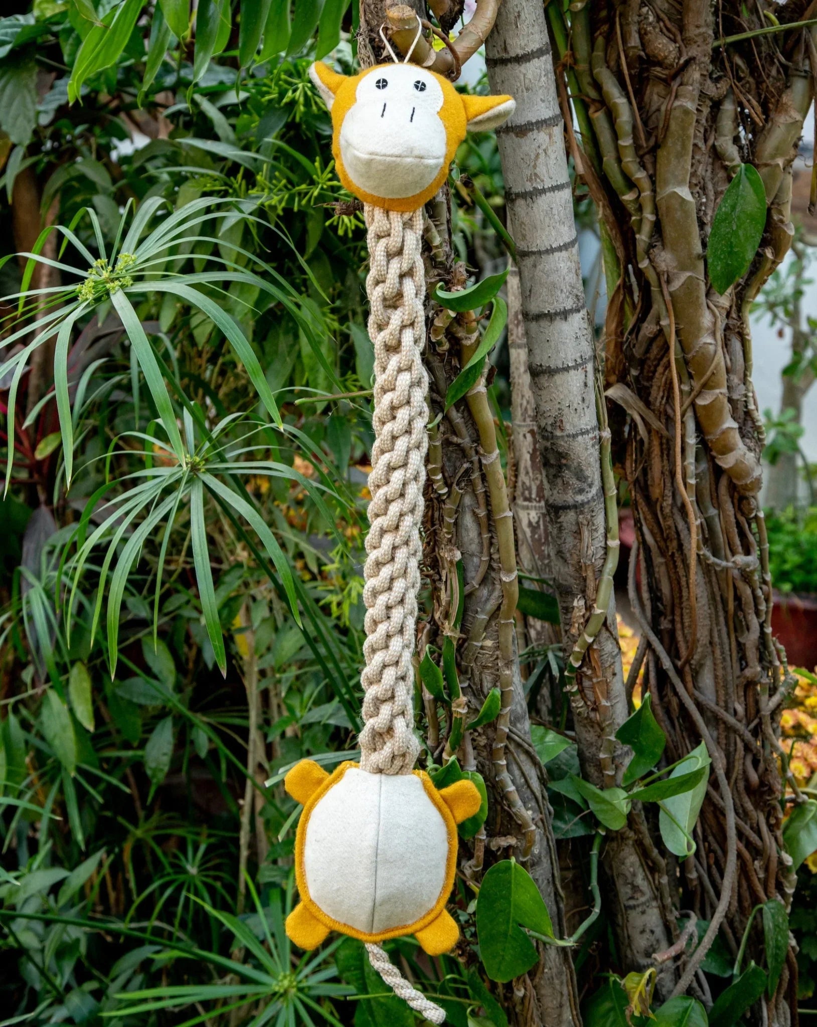 Close-Up of Monkey Long Ropey – Interactive and Durable Dog Toy